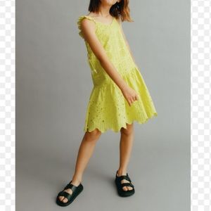 Zara embroidered dress